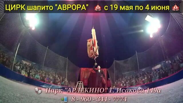 Цирк Шапито "Аврора" в парке "АРЛЕКИНО" 