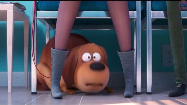 Русский трейлер Тайная жизнь домашних животных 2 / The Secret Life of Pets 2 (2019)
