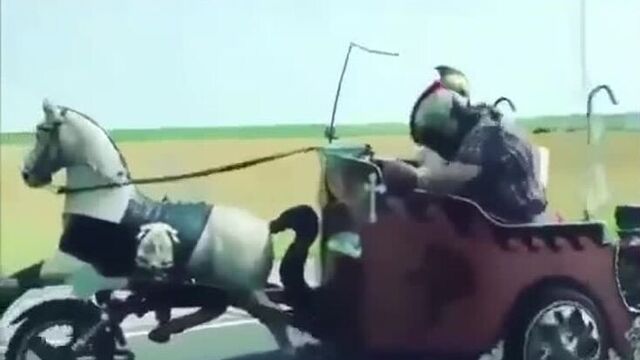 Look at my horse (VHS Video)