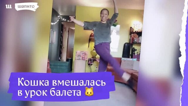 Кошка прервала урок балета 
