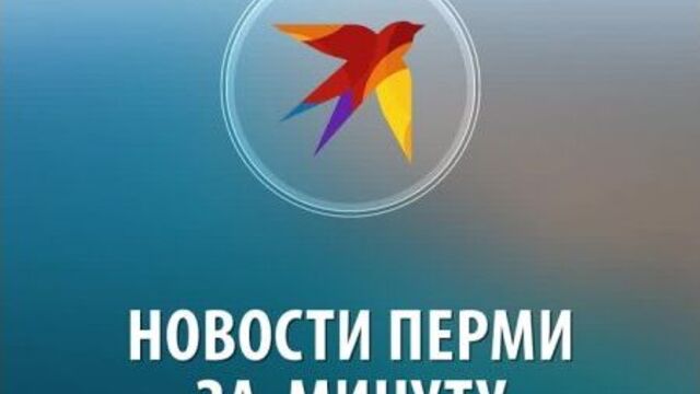 Новости Перми за одну минуту от 15 ноября