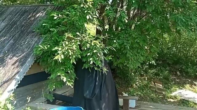 Крестный ход