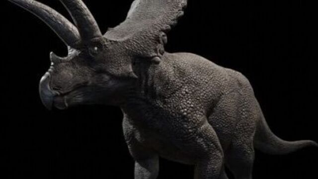 Beasts of Bermuda - 3D модель и анимации коауилацератопса