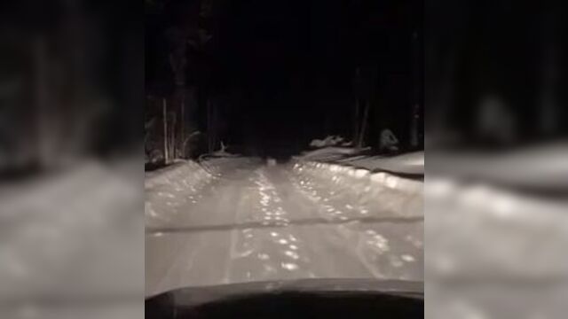 Video by Типичная Печора