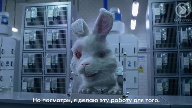 кролик Ральфа