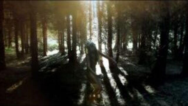 iamamiwhoami — t