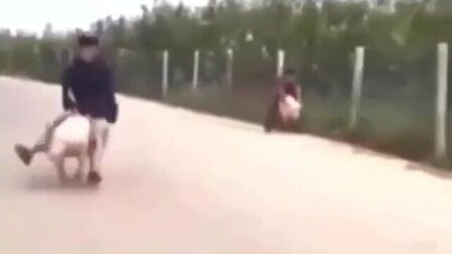 Мы бежим как будто НА гепардах