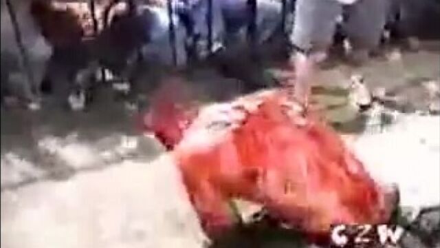John Zandig vs The Wifebeater (I Quit death match)