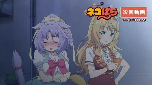 Nekopara | Кошачий рай - превью 5 серии.