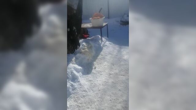 VID_20210306_123725.mp4
