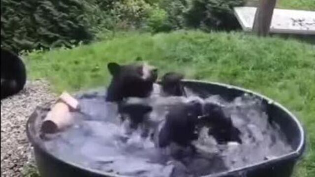 Принять ванну, выпить чашечку кофэ