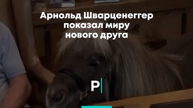 Арнольд Шварценеггер показал миру нового друга