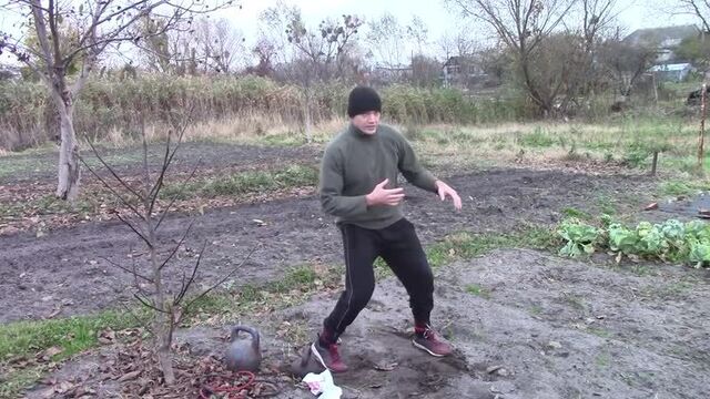 После этого Ты будешь драться как Тайсон