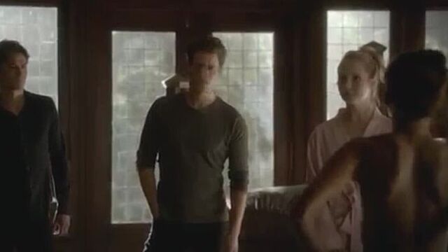 The Vampire Diaries 4x16(Stefan and Damon see Elena Naked)