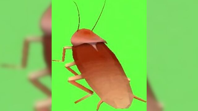 Dancing Cockroach Meme Greenscreen.mp4
