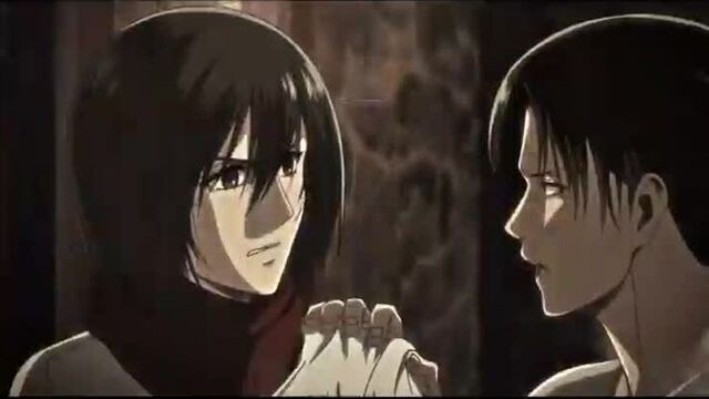 levi x mikasa ackermans vine edit