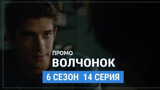 Волчонок 6 сезон 14 серия Русское промо